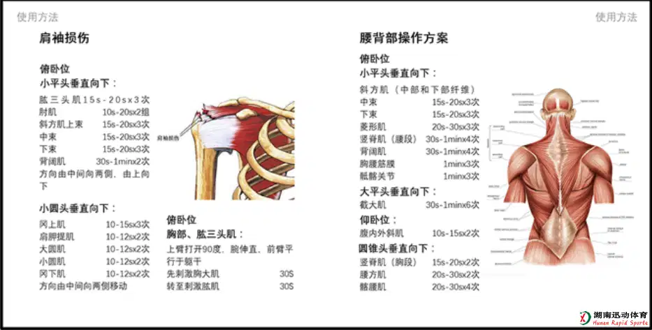 678体育官方网站图片